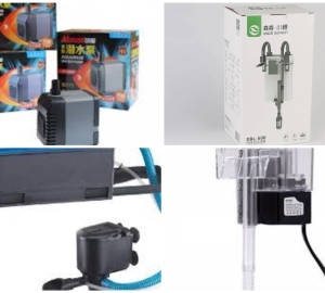 Cách chọn lọc cho hồ cá cảnh, hồ thuỷ sinh