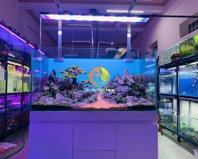 Hồ thuỷ sinh núi đá 