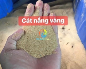 Cát nắng vàng