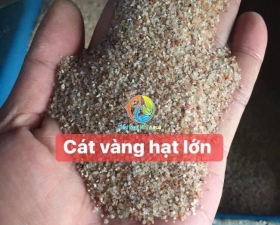 Cát vàng hạt lớn