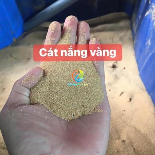 Cát nắng vàng